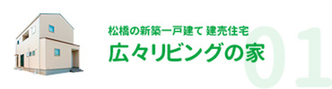 松橋の新築一戸建て 建売住宅 広々リビングの家