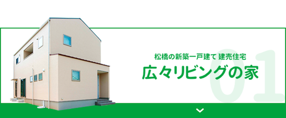 松橋の新築一戸建て 建売住宅 広々リビングの家